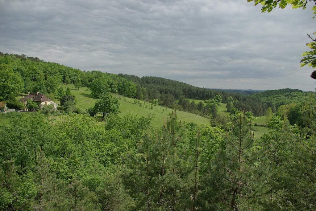 Отель Pechalvet Fleurac  Номер фото